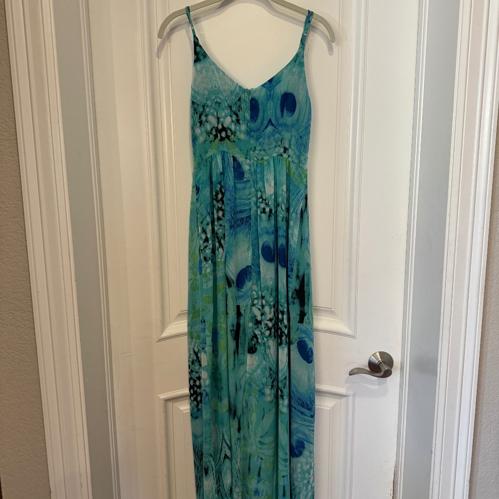 Charlie Jade Multicolor Maxi Dress, XS